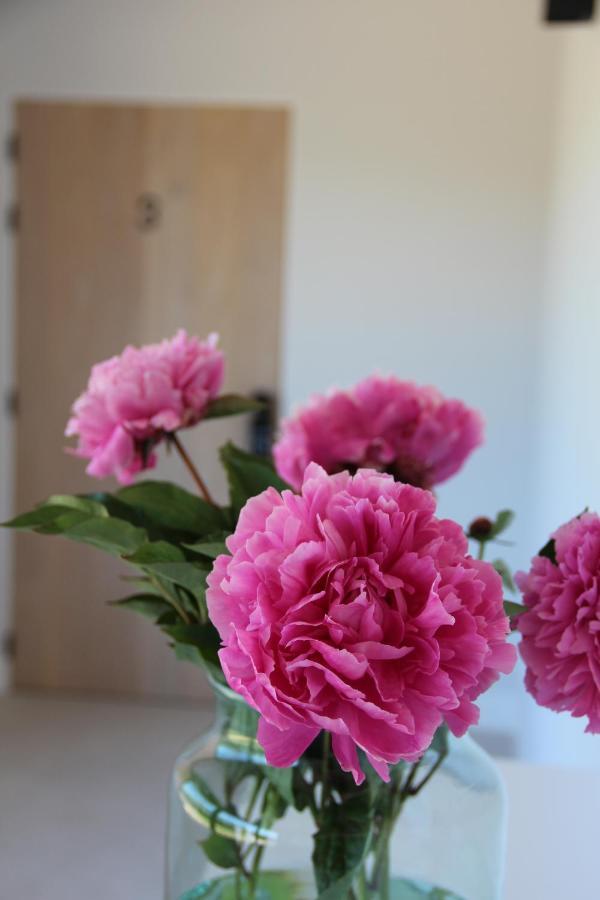 B&B Biesvenhof Merksplas 외부 사진